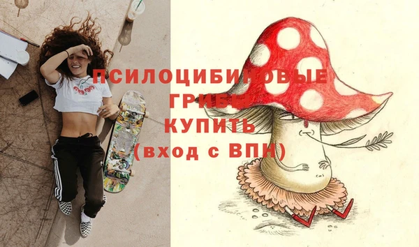 2c-b Лагань