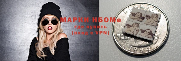 индика Сосновка