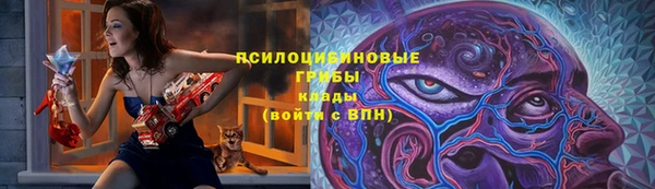 2c-b Лагань
