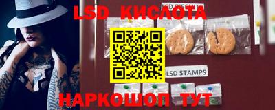 ПСИЛОЦИБИНОВЫЕ ГРИБЫ Дубна