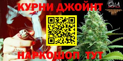 ПСИЛОЦИБИНОВЫЕ ГРИБЫ Дубна