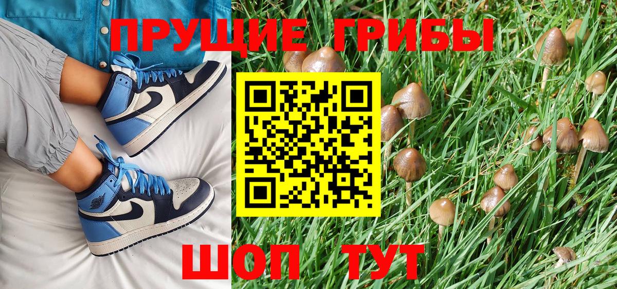Галлюциногенные грибы Psilocybine cubensis  Вход с VPN  Мелеуз 